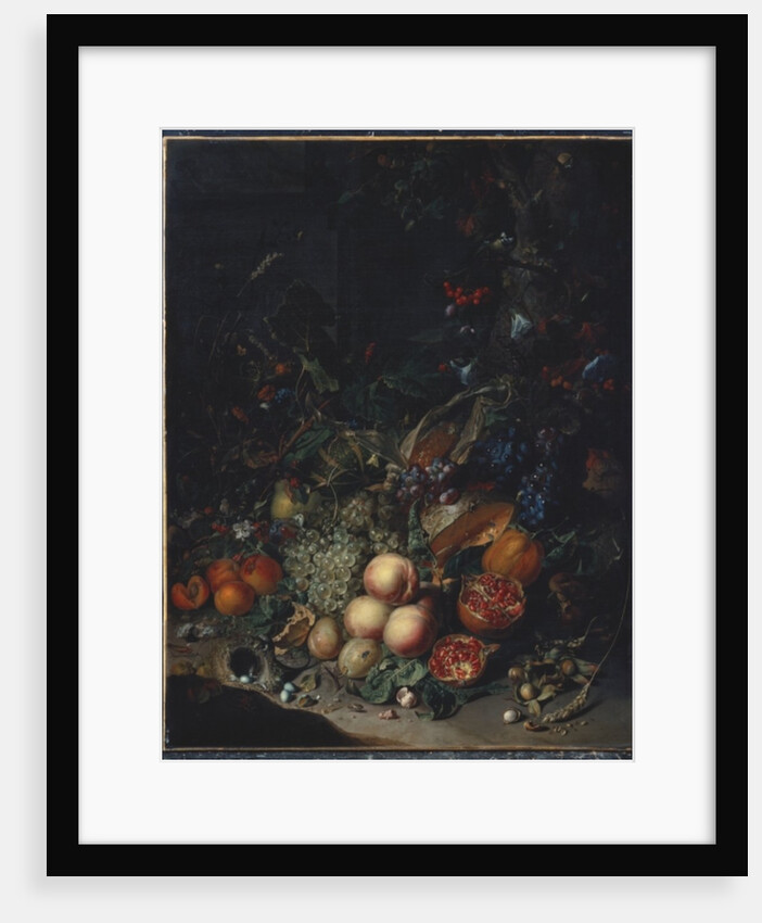 Peaches, Grapes, Pomegranates, Melons, a Corncob, Apricots, Plums, Pears, Acorns, 1718 by Rachel Ruysch