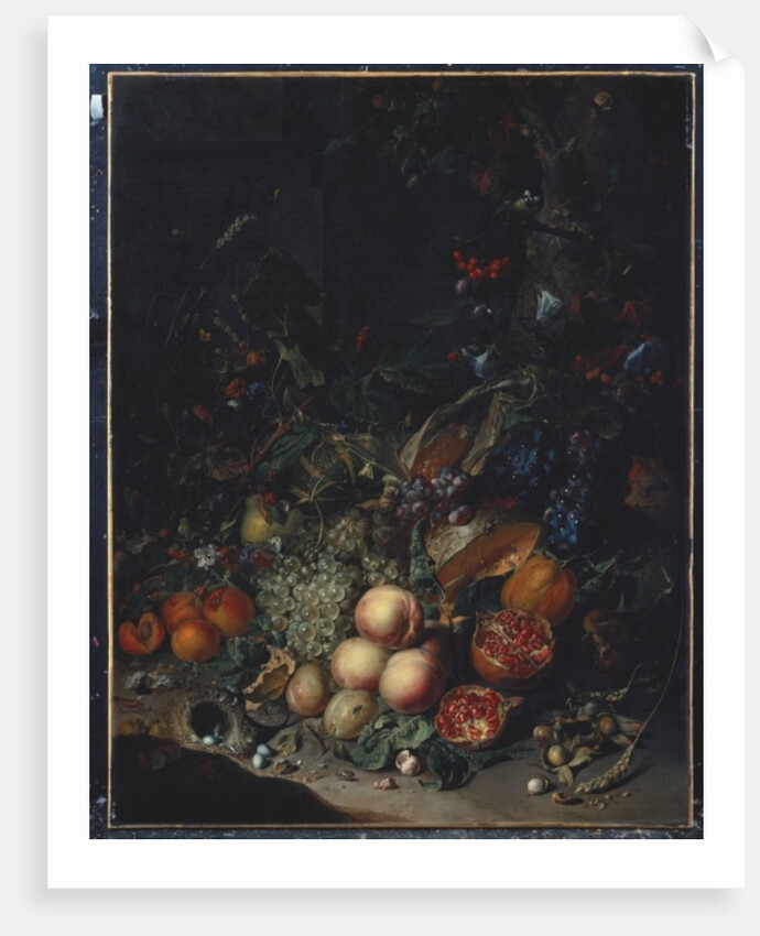 Peaches, Grapes, Pomegranates, Melons, a Corncob, Apricots, Plums, Pears, Acorns, 1718 by Rachel Ruysch