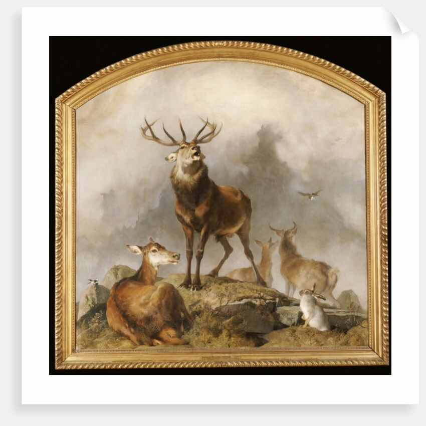 Scene in Braemar - Highland Deer by Edwin Landseer