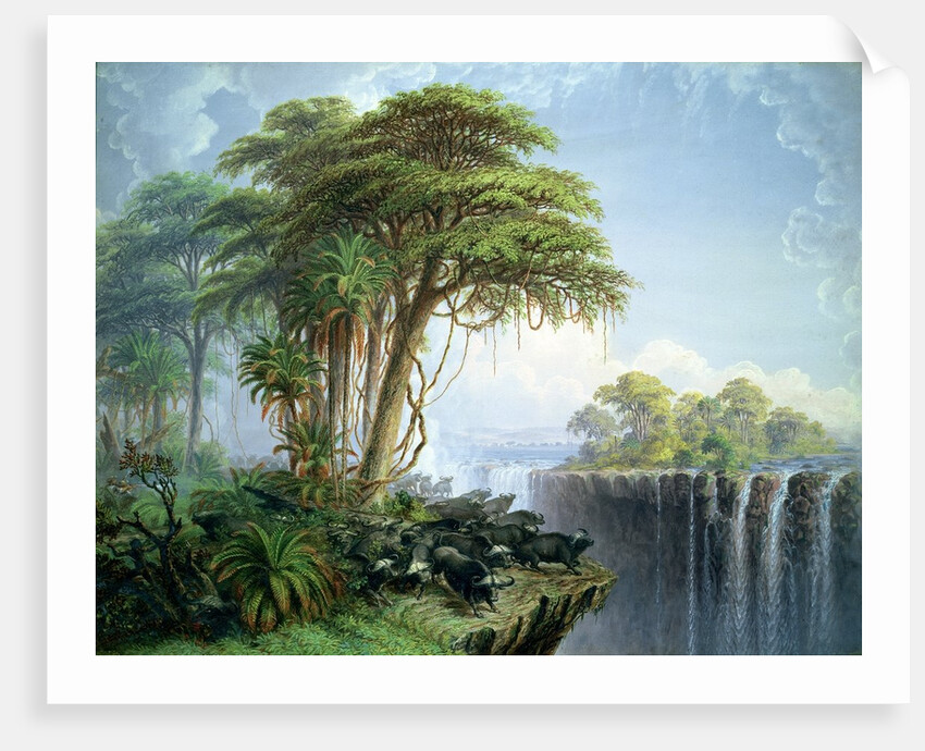 Buffalos Driven to the Edge of the Chasm opposite Garden Island, Victoria Falls by Thomas Baines