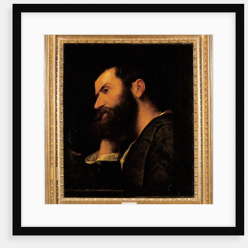 Portrait of the poet Pietro Aretino, bust-length, resting his head on his right hand by a ledge with a plant by Alessandro Bonvicino Moretto
