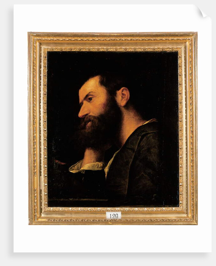 Portrait of the poet Pietro Aretino, bust-length, resting his head on his right hand by a ledge with a plant by Alessandro Bonvicino Moretto