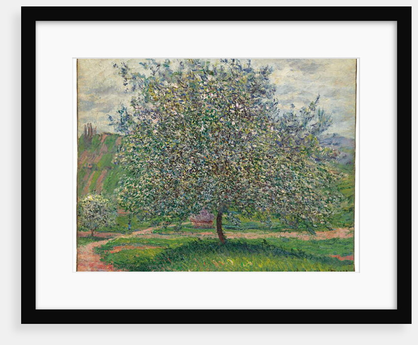 Le Pommier, 1879 by Claude Monet