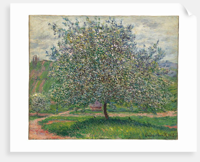 Le Pommier, 1879 by Claude Monet