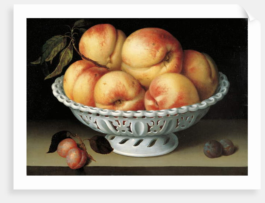 Peaches in a pierced white faience basket by Fede Galizia
