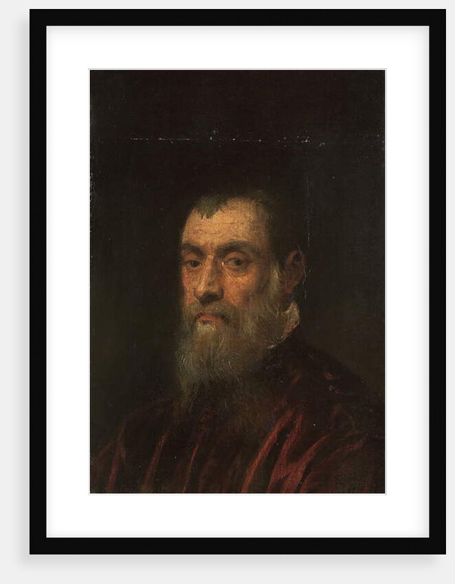 Portrait of a bearded man, bust-length, in a red gown by Jacopo Robusti Tintoretto