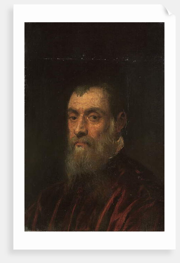 Portrait of a bearded man, bust-length, in a red gown by Jacopo Robusti Tintoretto