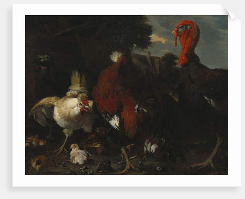 A Hen, Rooster and Turkey in a Farmyard by Melchior de (attr. to) Hondecoeter