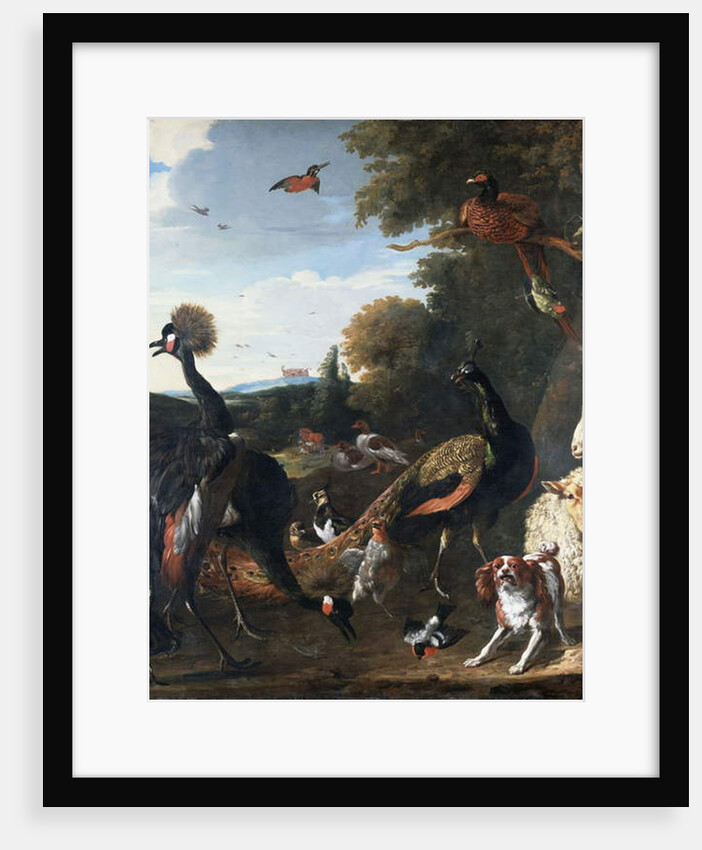 Peacocks and other birds, with a sheep and dog in a landscape by Melchior de Hondecoeter