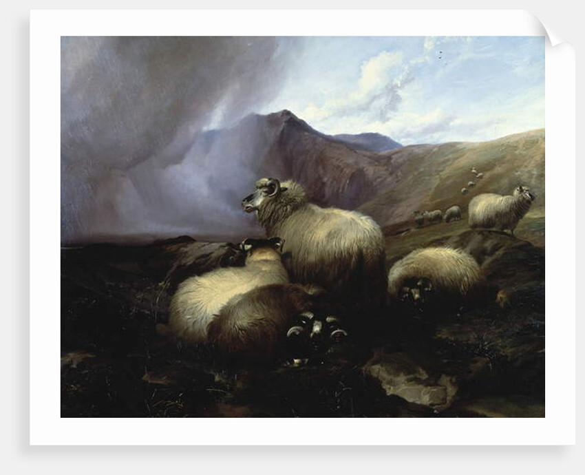 Highland Sheep in a Mountainous Landscape, 1854 by Thomas Sidney Cooper
