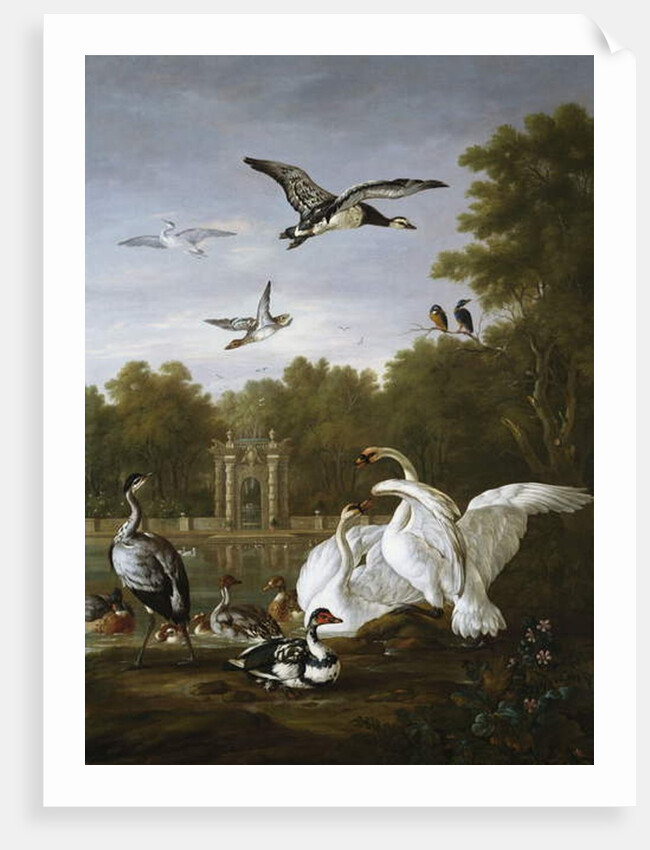 Swans, ducks and other birds in a park by Pieter Casteels