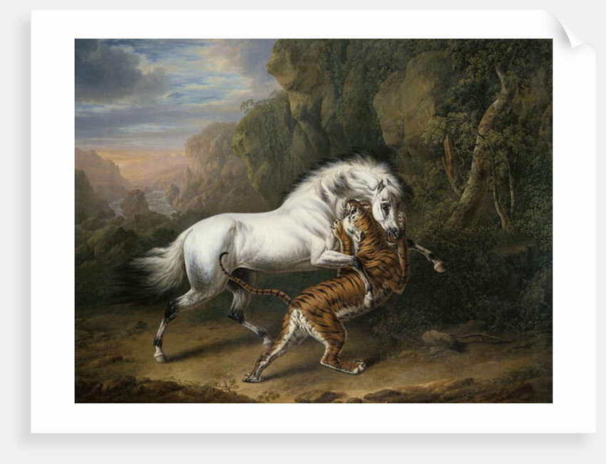 A Tiger attacking an Arab Stallion, 1824 by Charles Towne