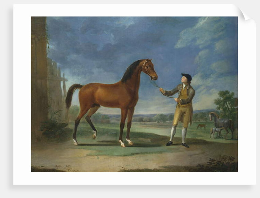 An Arab stallion held by a groom by Sawrey Gilpin