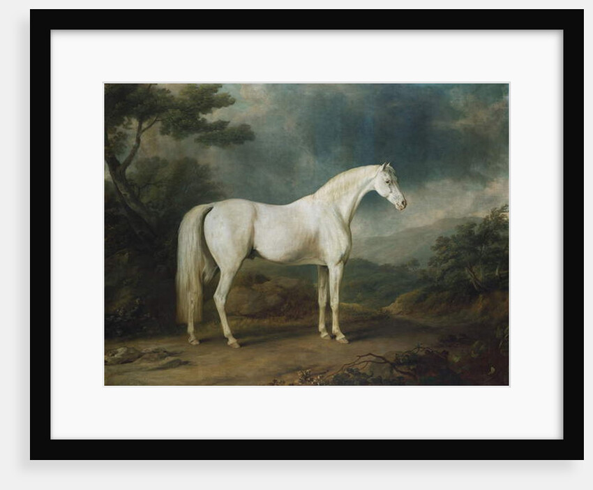 White horse in a wooded landscape, 1791 by Sawrey Gilpin