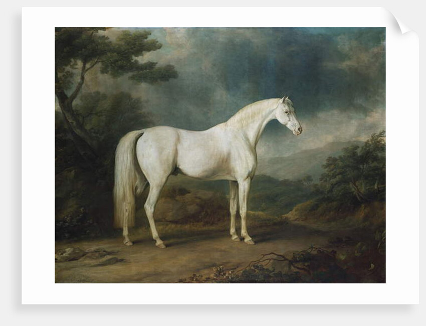 White horse in a wooded landscape, 1791 by Sawrey Gilpin