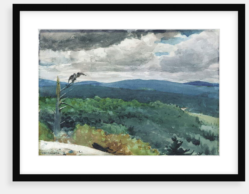 Hilly Landscape, 1894 by Winslow Homer