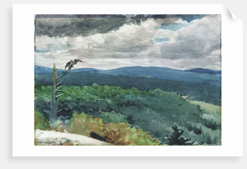 Hilly Landscape, 1894 by Winslow Homer