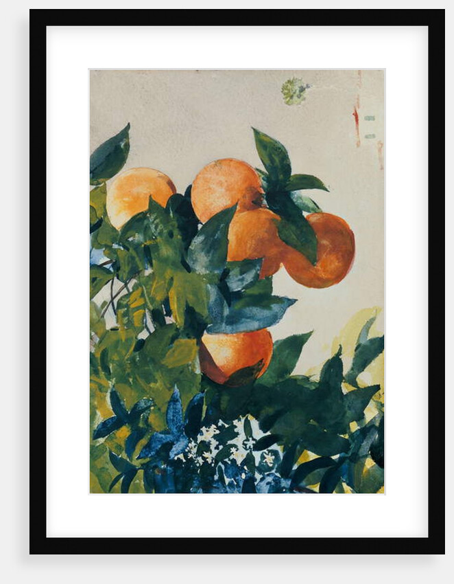 Oranges on a Branch, 1885 by Winslow Homer