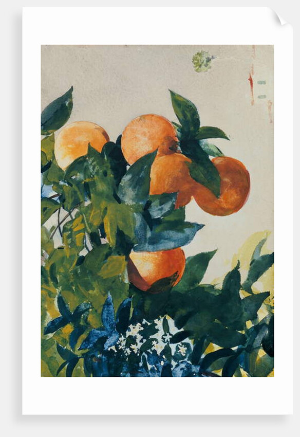 Oranges on a Branch, 1885 by Winslow Homer