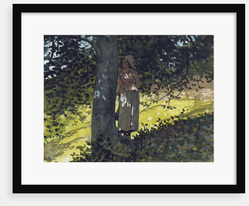 A Shady Spot, Houghton Farm, 1878 by Winslow Homer