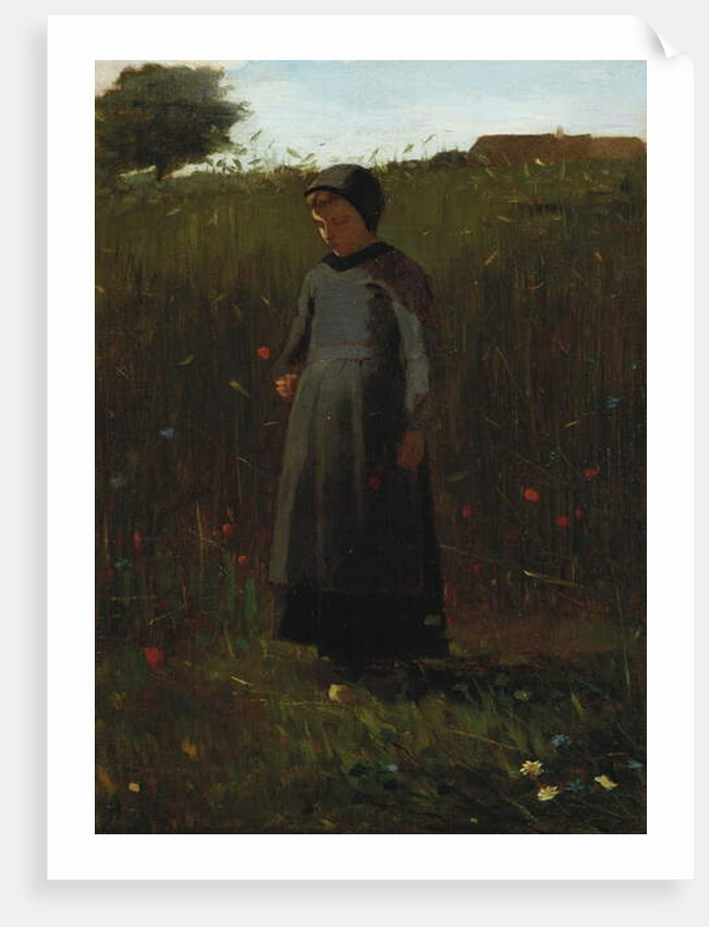 The Flowers of the Field by Winslow Homer