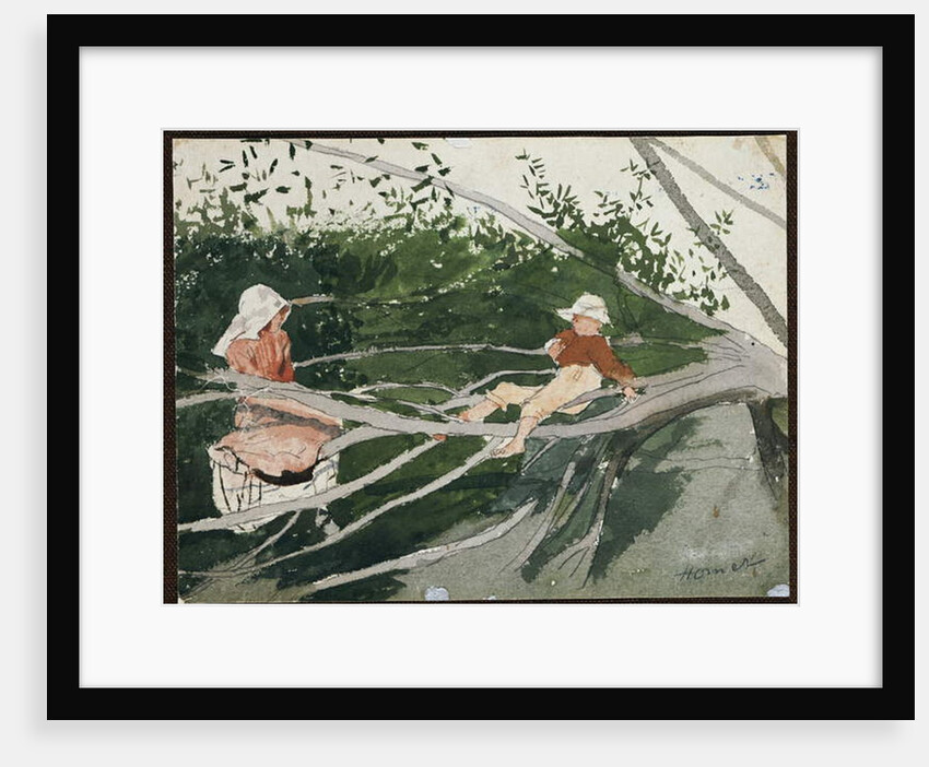 Out on a Limb by Winslow Homer