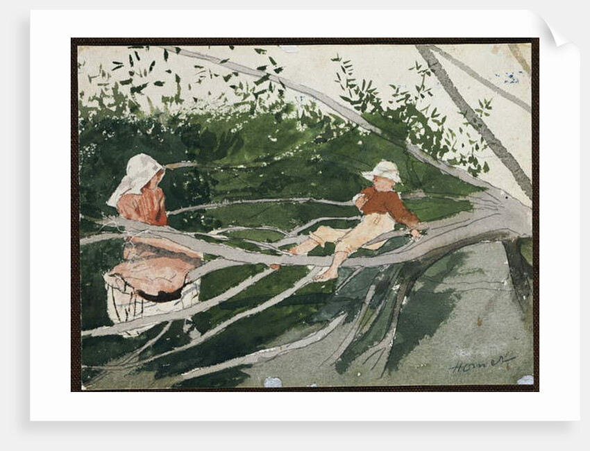 Out on a Limb by Winslow Homer