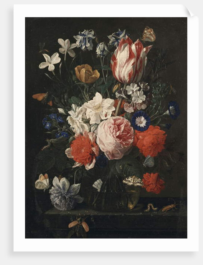 A rose, a tulip, morning glory and other flowers in a glass vase on a stone ledge, 1671 by Nicholaes van Verendael