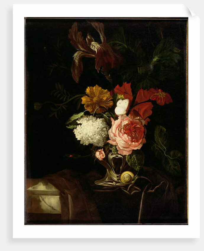 A Rose, and Iris, Lilac and other Flowers in an Auricular Silver Vase with a Snail and a Butterfly on a draped Ledge by Willem van Aelst