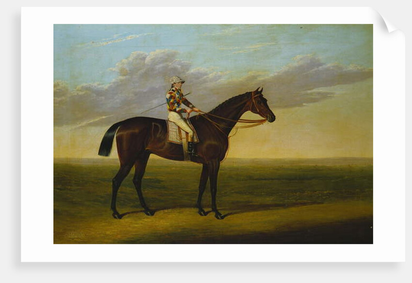 Mr Richard Watt's Bay Racehorse 'Rockingham' with Sam Darling up, on a Racecourse by David of York Dalby