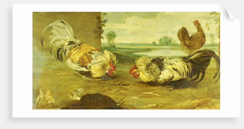 A Cock Fight by Frans Snyders