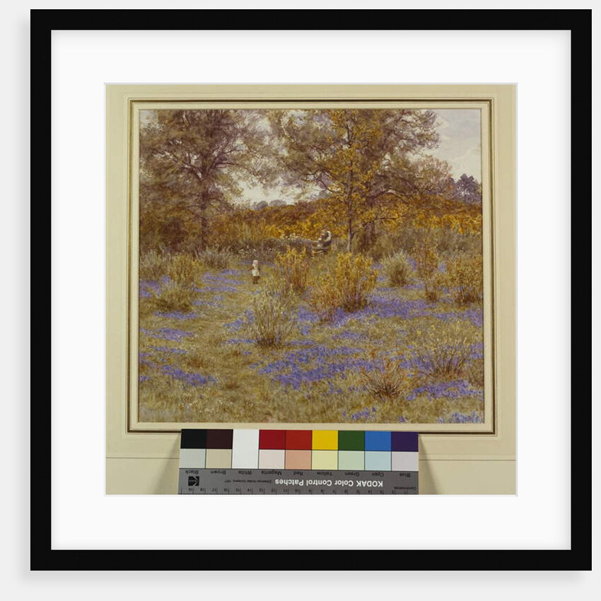 Bluebell Copse, 1889 by Helen Allingham