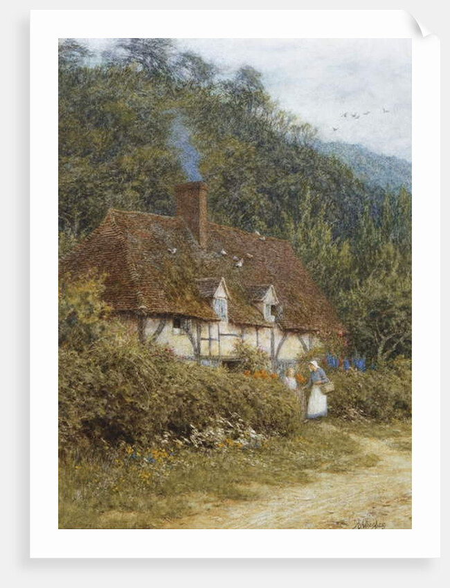 Cottage near Witley, Surrey by Helen Allingham