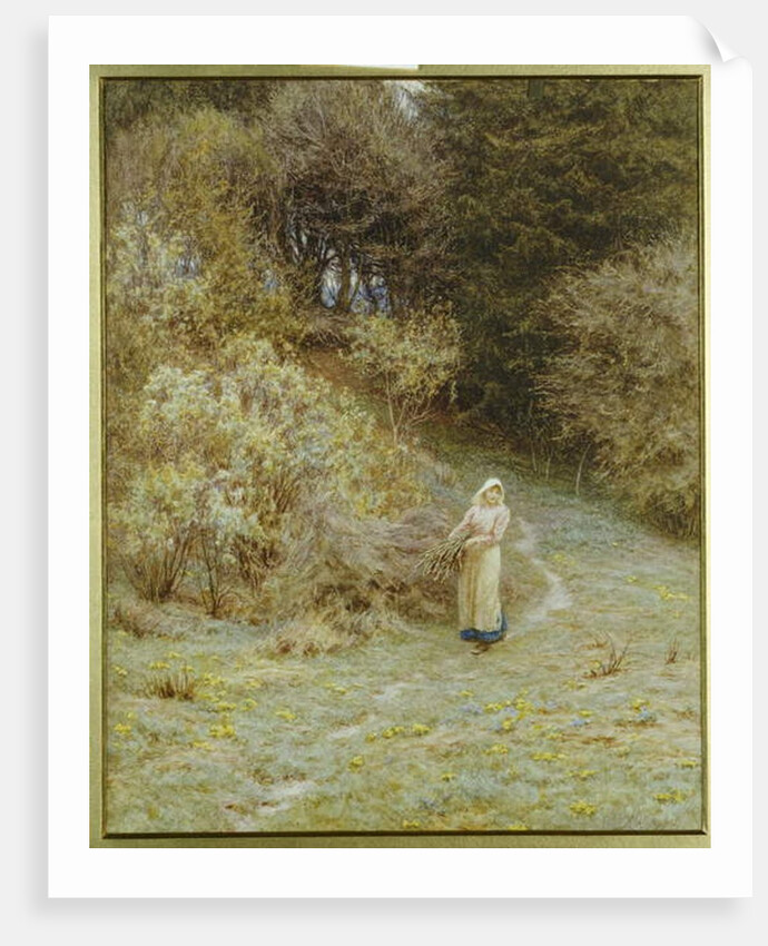In the Primrose Wood by Helen Allingham