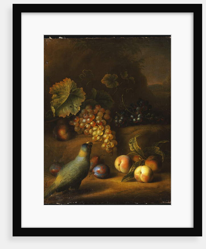 A Parrot with Grapes, Peaches and Plums in a Landscape by Tobias Stranover