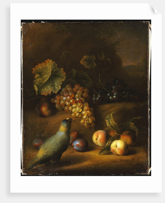 A Parrot with Grapes, Peaches and Plums in a Landscape by Tobias Stranover