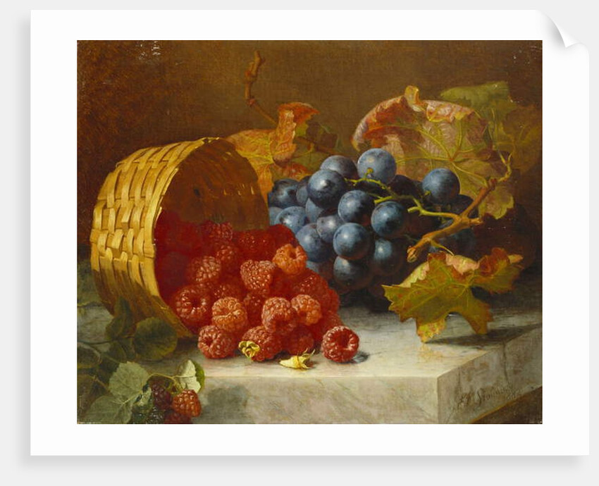 Still Life with Raspberries and a Bunch of Grapes on a Marble Ledge, 1882 by Eloise Harriet Stannard