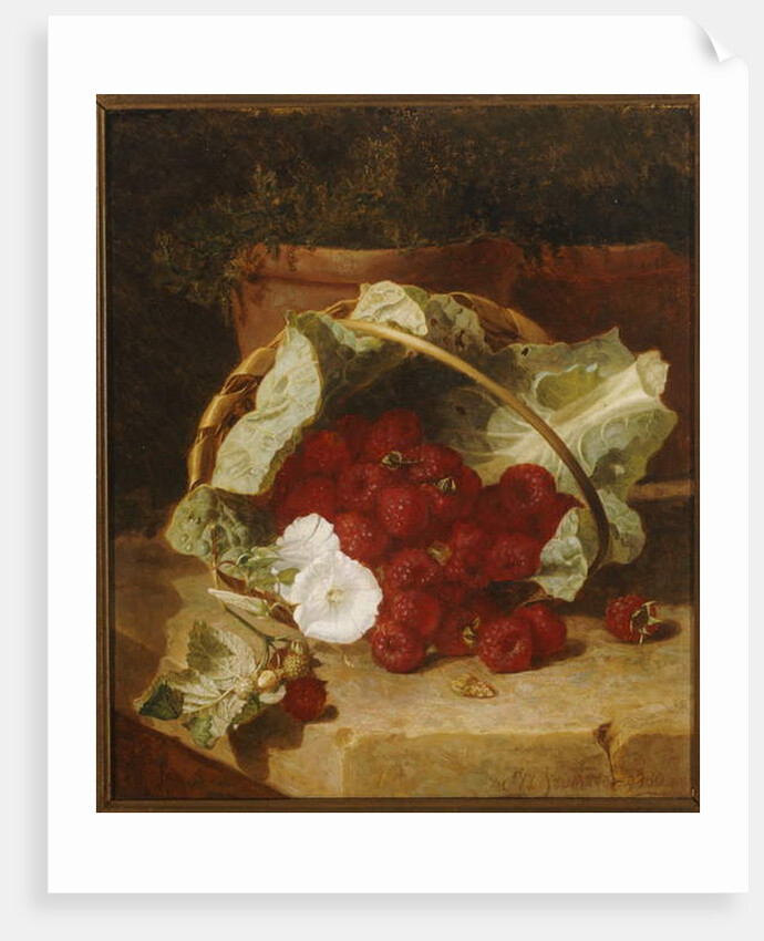 Raspberries in a Cabbage Leaf Lined Basket with White Convulvulus on a Stone Ledge, 1880 by Eloise Harriet Stannard