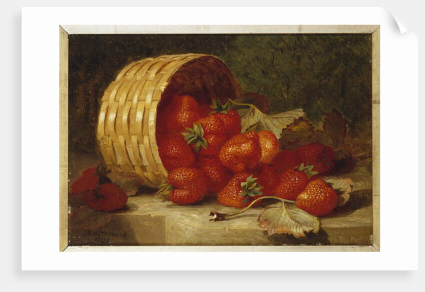 Strawberries in a Wicker Basket on a Ledge, 1895 by Eloise Harriet Stannard