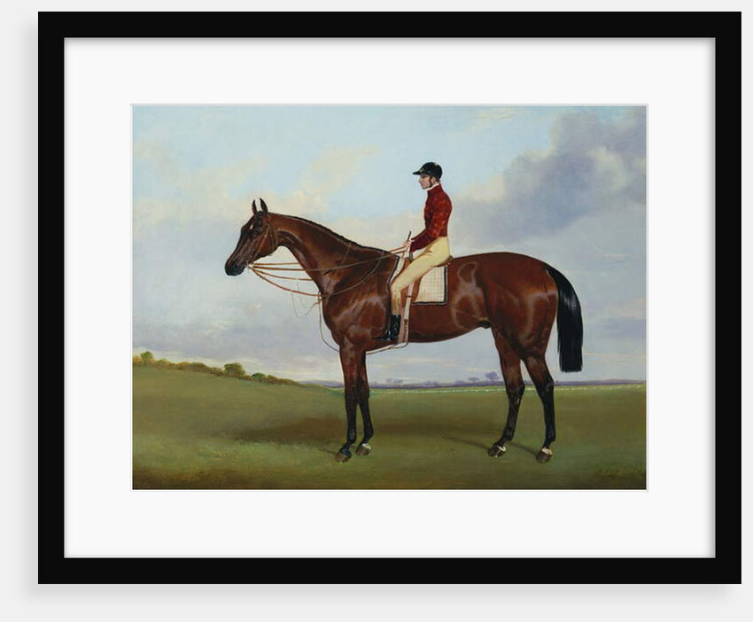 Mrs S. Wrather's 'Nutwith', with J. Marson Up, 1843 by Harry Hall