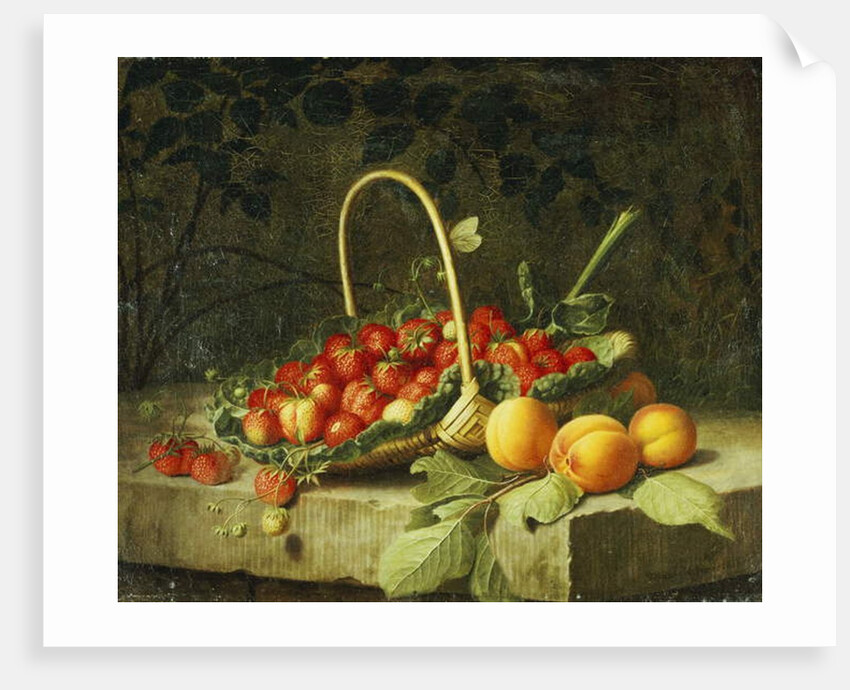 A Basket of Strawberries with Peaches on a Stone Ledge, 1856 by William Hammer