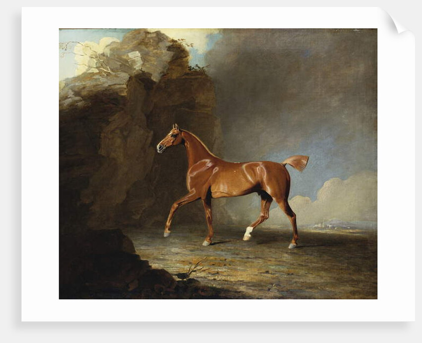 A Golden Chestnut Racehorse by a Rock Formation, 1800 by Benjamin Marshall