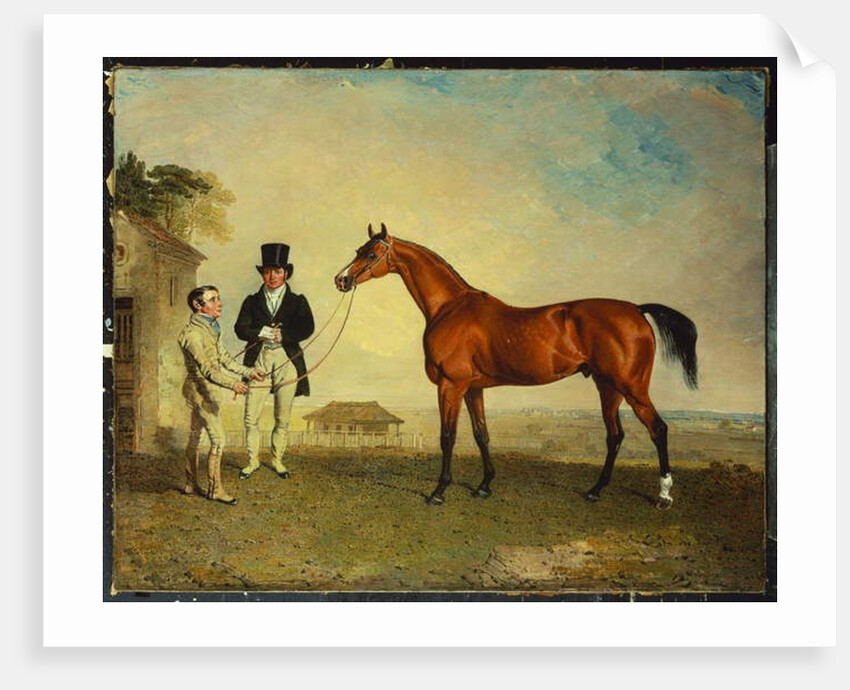 Skiff by Benjamin Marshall