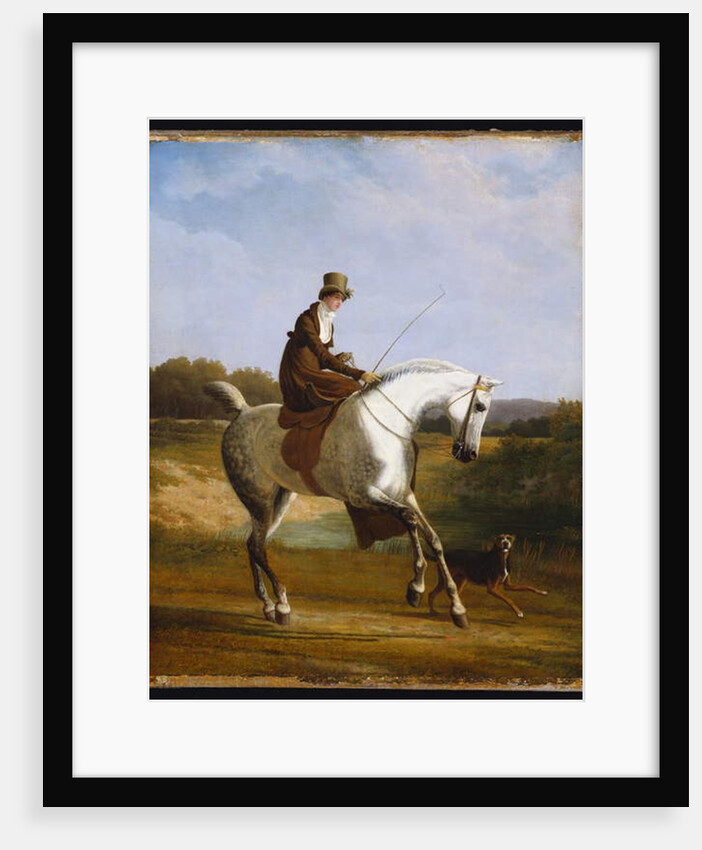 Miss Cazenove on a Grey Hunter, a Dog running Alongside by Jacques-Laurent Agasse