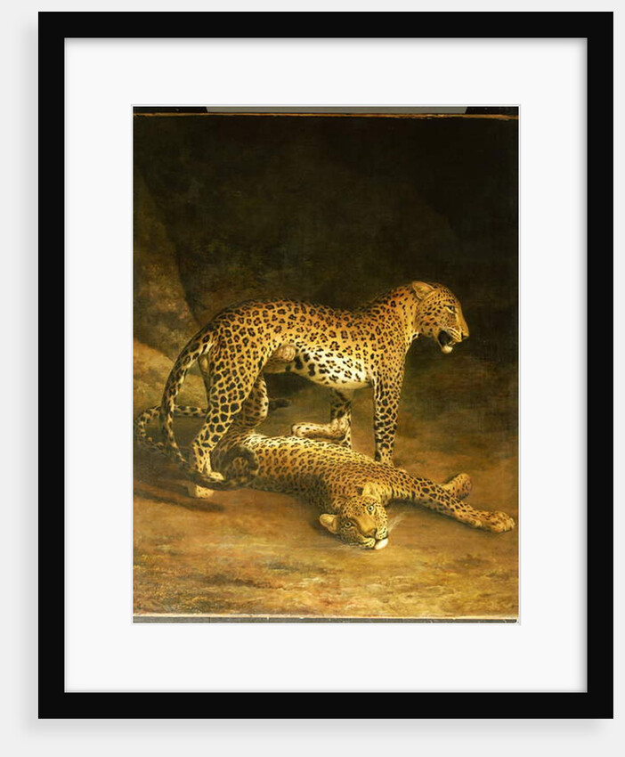 Two Leopards lying in the Exeter Exchange, 1808 by Jacques-Laurent Agasse