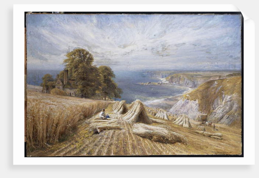 Harvesting on the South Coast, 1869 by Edmund George Warren