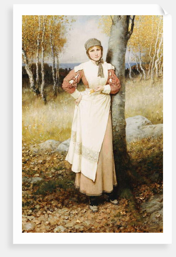 A Rose in New England by George Henry Boughton