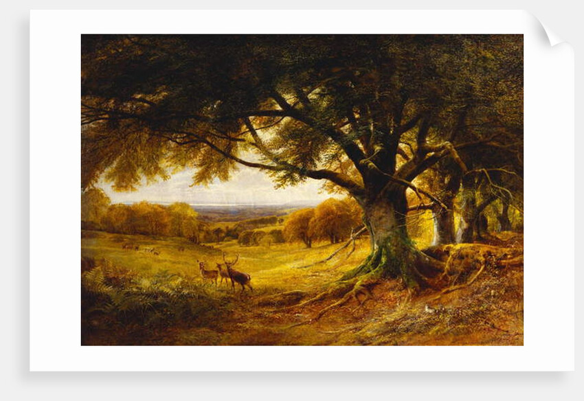 Spithead, Uppark, Sussex, 1868 by George Cole