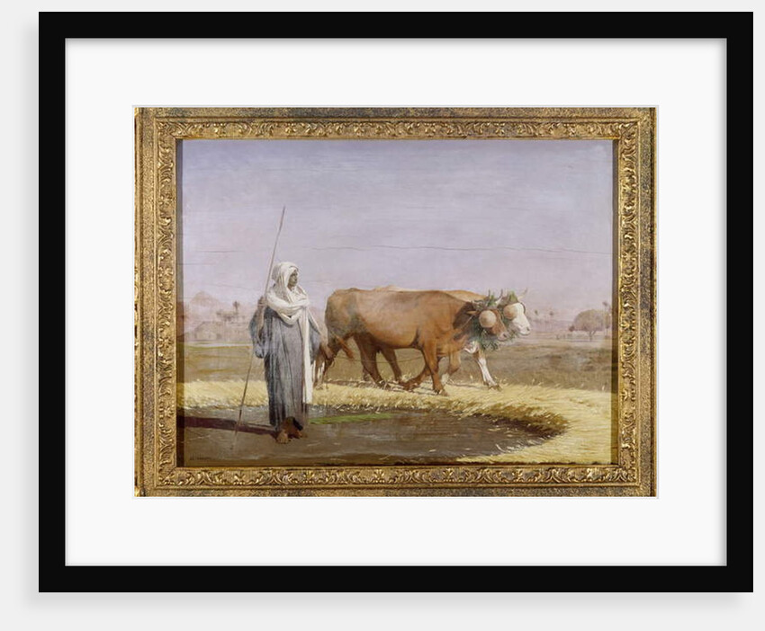 Treading out Wheat in Egypt by Jean Leon Gerome