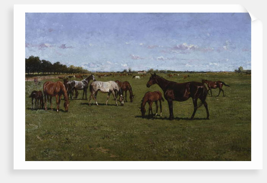 Mares and Foals, 1917 by Georg Koch